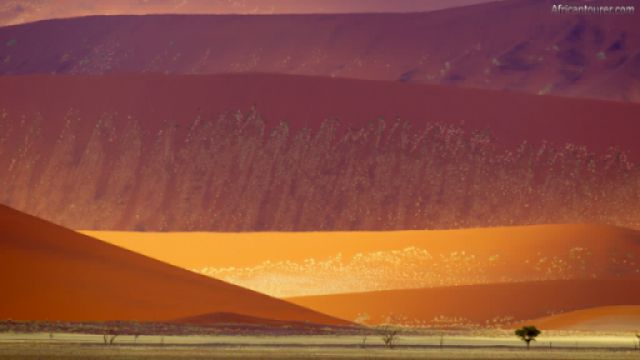 Namib Naukluft national park,  sand dunes in the distance <sup>1</sup>
