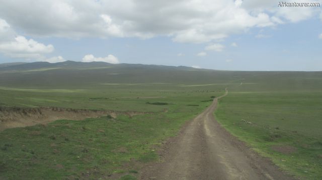 Ngorongoro conservation area,  Embulmbul depression with Olmoti crater on the far left