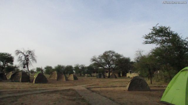  Nyani campsite of Serengeti national park, tents pitched on site with toilets in the distance