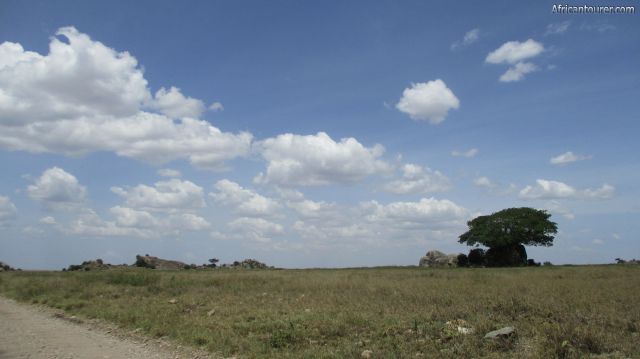  Simba Kopjes of Serengeti national park, as seen from the road to Seronera from Naabi hill