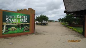 kaole snake park